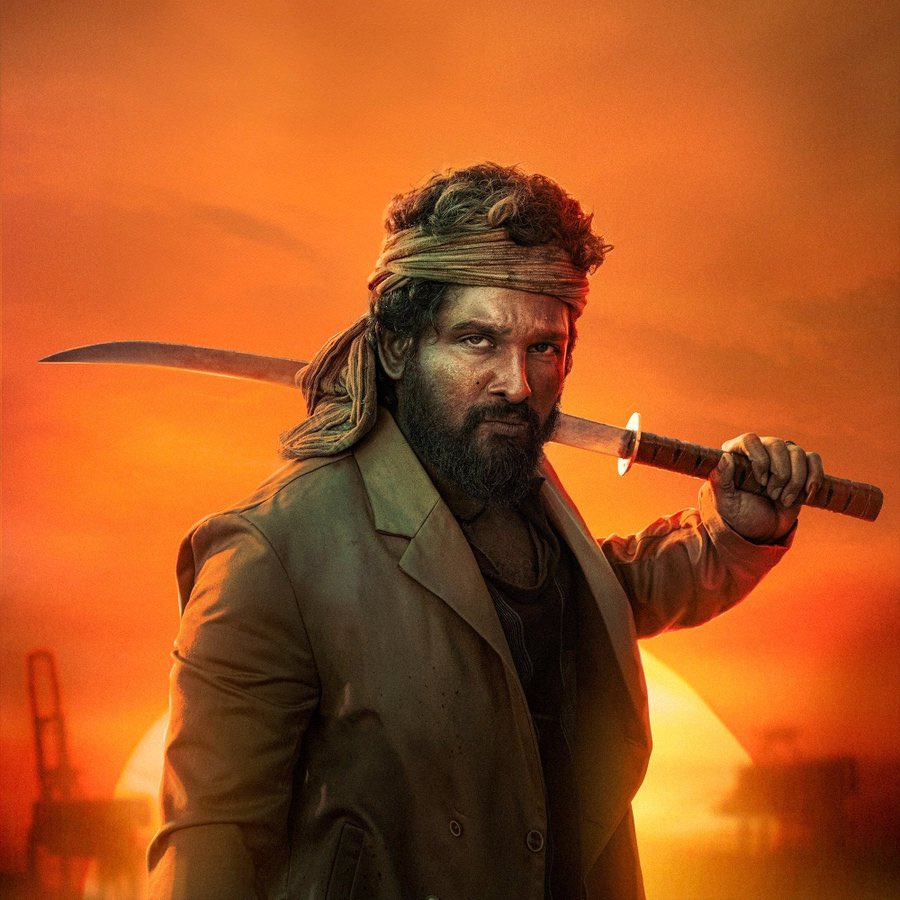 Allu Arjun Pushpa 2 Review