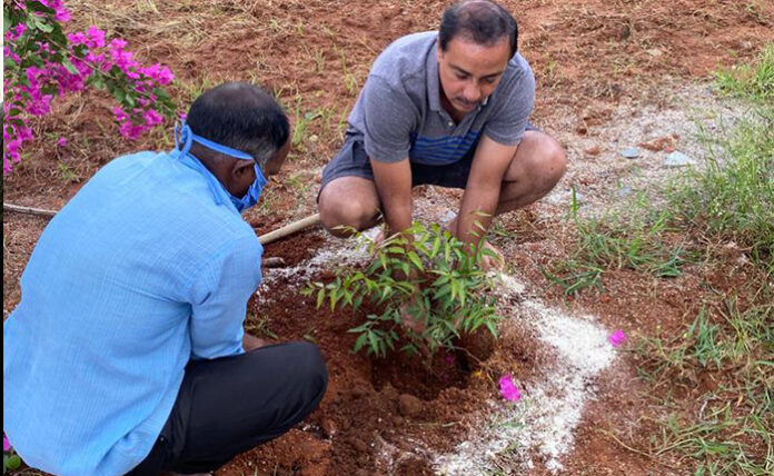 14Reels Plus Producer Gopi Achanta Plant Sapling Under Green India Challenge నిర్మాత గోపి ఆచంట