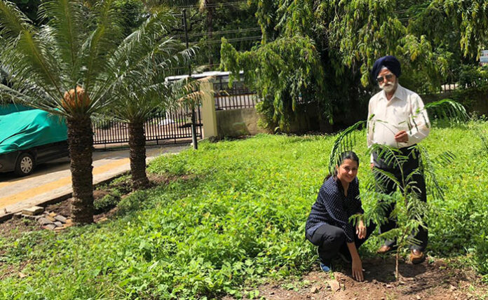 Bhumika chawla plant sapling Bhumika chawla