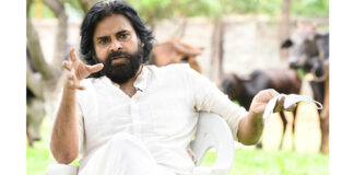 పవర్ స్టార్ పవన్ కల్యాణ్