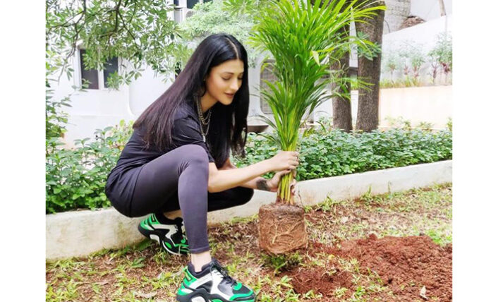 Shruti Haasan plant saplings under green india challenge ప్రముఖ సినీనటి శృతి హాసన్