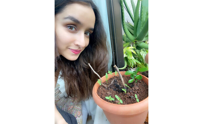Bollywood heroine shraddha kapoor plant saplings under green india challenge