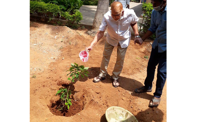 Superstar Krishna Plant saplings on the occasion of his Birthday
