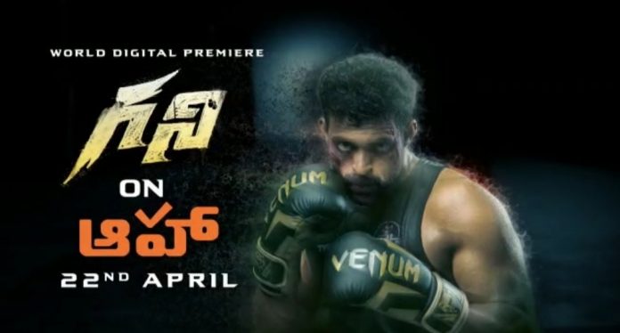 ghani-aha