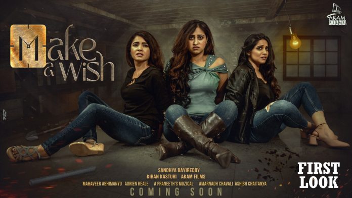 Make-Wish-First-Look (1)
