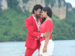 "Samudrudu" Movie Review
