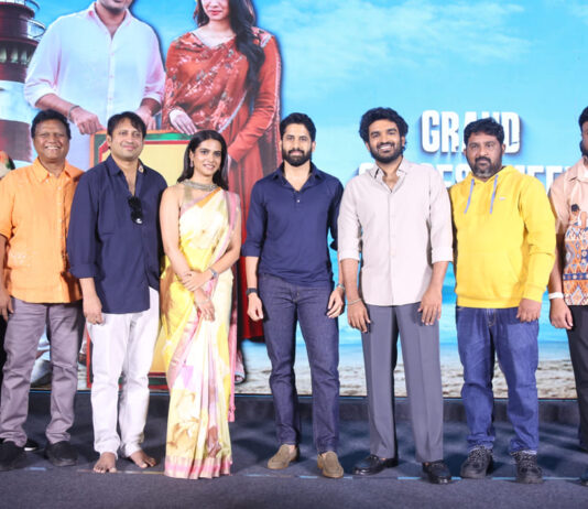 chennai love story grand success meet